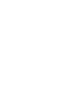 CodeWhizz