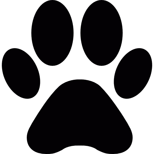 ShortVideoGen - AI工具Logo图标