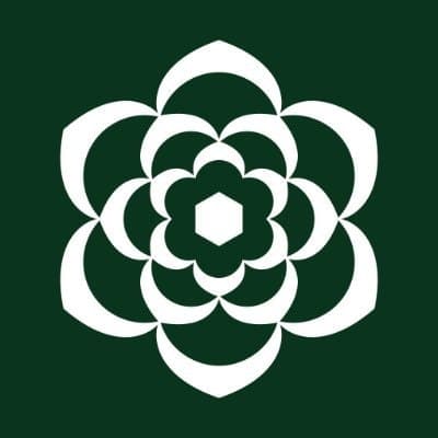 Sierra - AI工具Logo图标