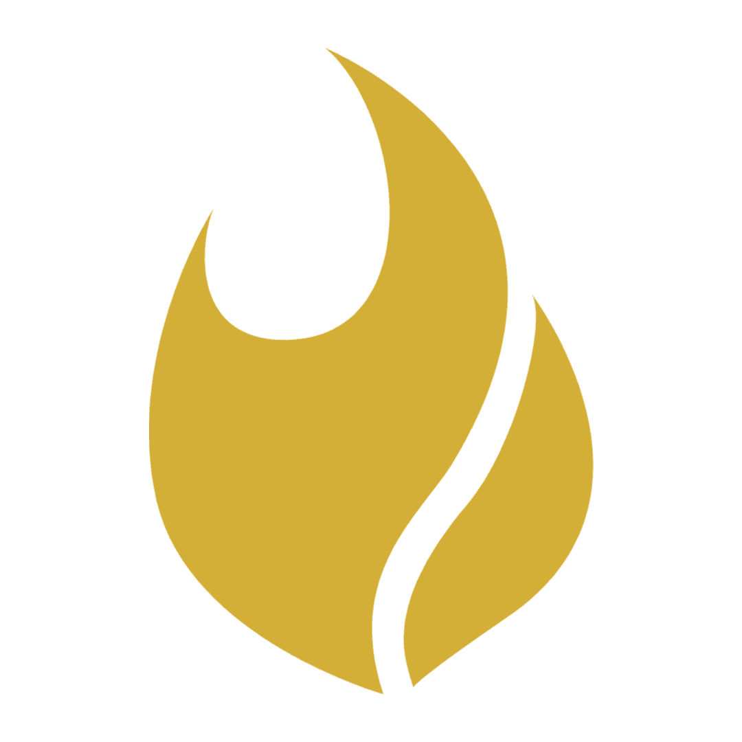 Flamel.ai - AI工具Logo图标