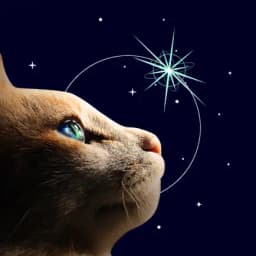 Catting