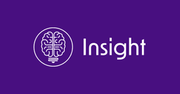 Insight AI