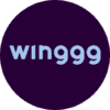 Winggg - AI工具Logo图标