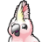 Cockatoo - AI工具Logo图标