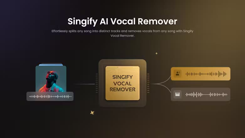 Singify AI 人声消除器