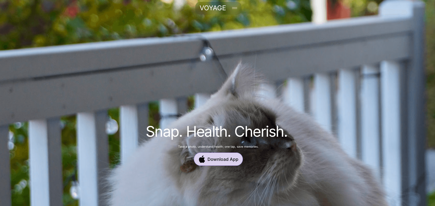 Voyage Pet AI