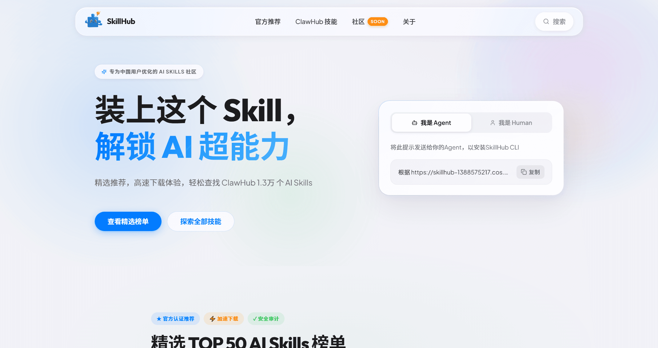 SkillHub