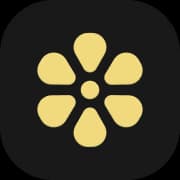 Lemon - AI工具Logo图标